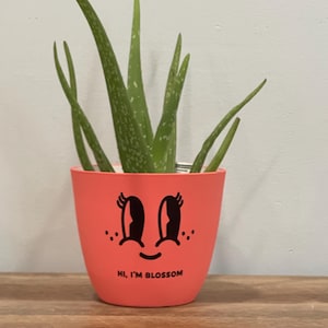 Blossom Hand-Painted Pot Cover – Summer Peach – Personality Planter – Mother’s Day Gift Ideas