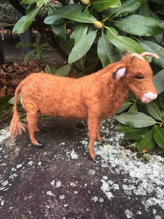 Brown Cow
