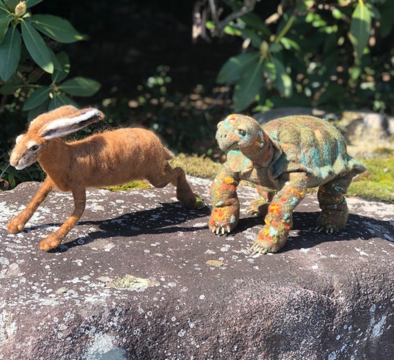 Tortoise