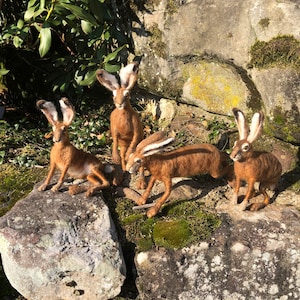 Brown Hare 10” to top of ear