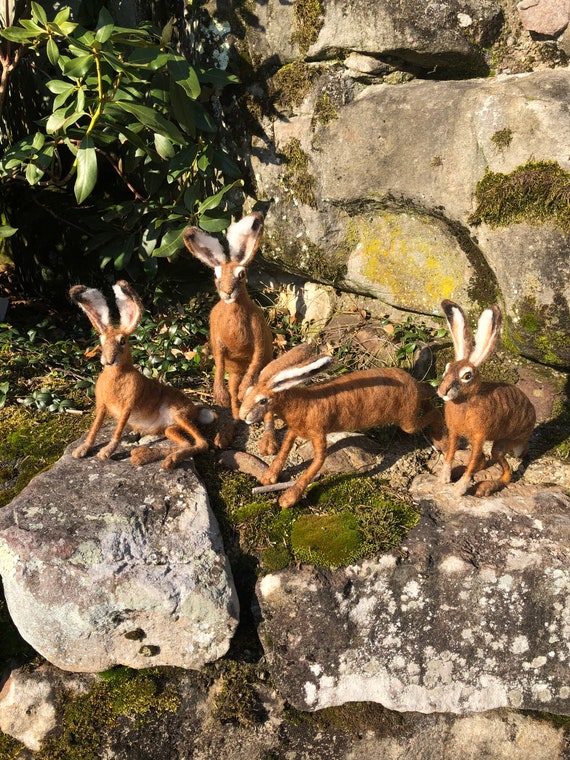 Brown Hare 10” to top of ear