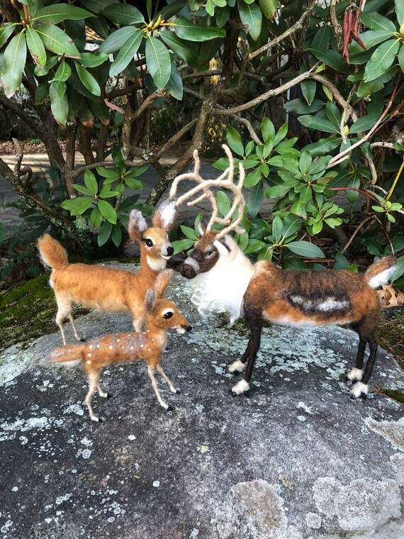 Reindeer, Mom, Fawn