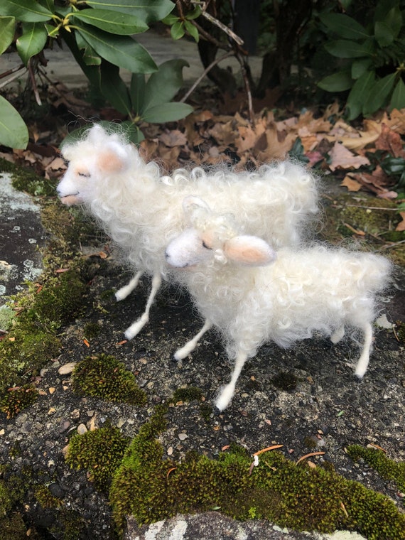 Lamb pair