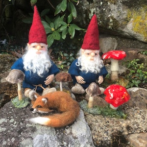 Woodland Gnome with mushrooms
