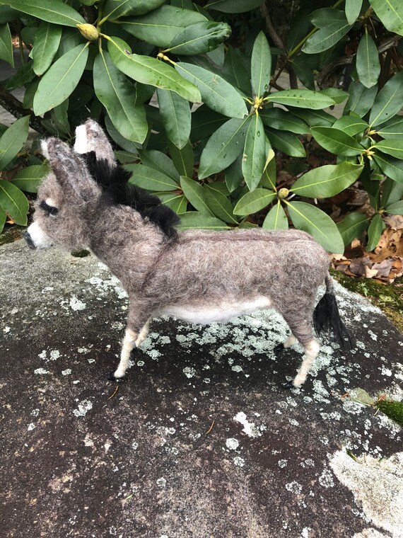 Little donkey