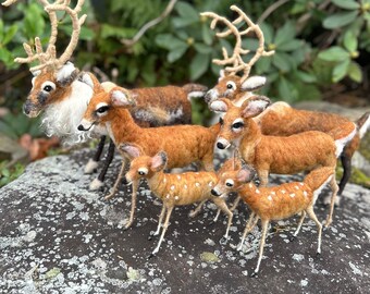 Reindeer, Mom, Fawn