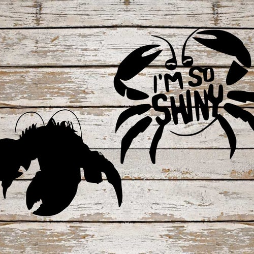 Moana Svg Bundle Disney Svg Bundle Moana Cut File Moana Etsy