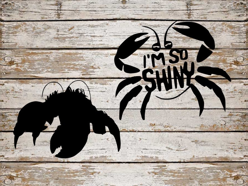 Free Free 115 Disney Moana Svg Files SVG PNG EPS DXF File