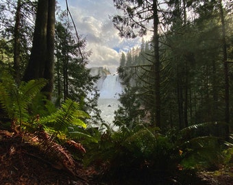 Snoqualmie Falls forest view-printable photo, Pacific Northwest, Real Twin Peaks, Nature photography, PNW beauty, WA State