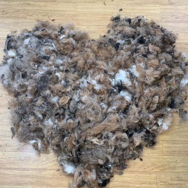 Dog hair for crafting