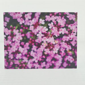 Blank greeting card from photo, Carte de voeux vierge à partir d'une photo