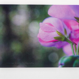 Blank greeting card from photo, Carte de voeux vierge à partir d'une photo