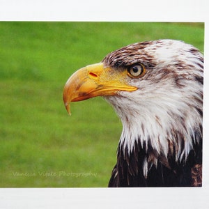 Blank greeting card from photo, Carte de voeux vierge à partir d'une photo
