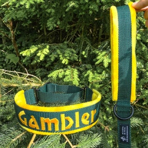 Agility top slip lead