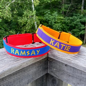 May include: Two personalized dog collars. One is red with a blue band and the name "RAMSAY" in yellow. The other is orange with a purple band and the name "KATIE" in yellow. Both collars are on a wooden surface with a green background.