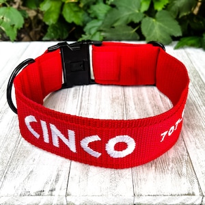 Embroidered Buckle Dog Collar, Personalized Collar with Name, Custom Collar for Dogs, Flat ID Collar, Large Dog, 1.5 in 2 in Thick Collar