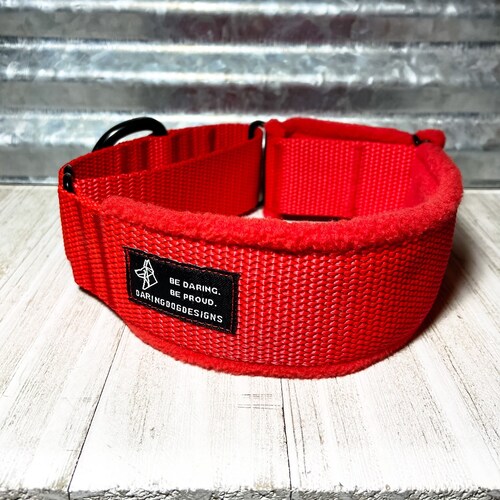 ezydog martingale collar