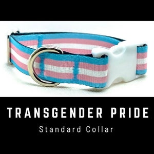 May include: A blue, pink, and white striped dog collar with a white plastic buckle and a silver D-ring. The collar has the text "Transgender Pride" and "Standard Collar" printed on it.