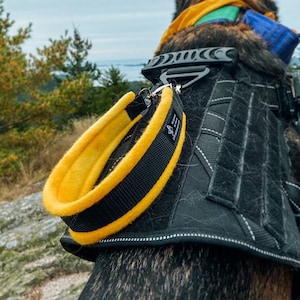 Fleece Dog Pull Strap, Mobility Harness Handle