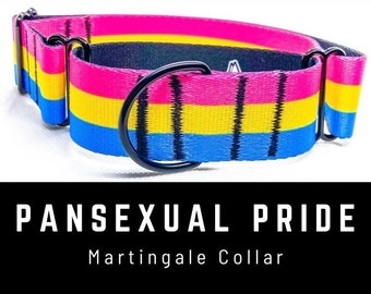 Pan Pride Dog Collar, Martingale Collar, Pansexual Flag Collar, LGBTQ Dog Collar, Gay Pride Collar, Thick 1" 1.5" 2" Wide Dog Collar