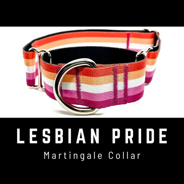 Lesbian Pride Dog Collar, Martingale Collar, LGBTQ Dog Collar, Pride Flag Collar, Gay Pride Collar, Thick 1" 1.5" 2" Wide Dog Collar