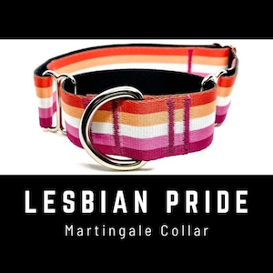 Lesbian Pride Dog Collar, Martingale Collar, LGBTQ Dog Collar, Pride Flag Collar, Gay Pride Collar, Thick 1" 1.5" 2" Wide Dog Collar