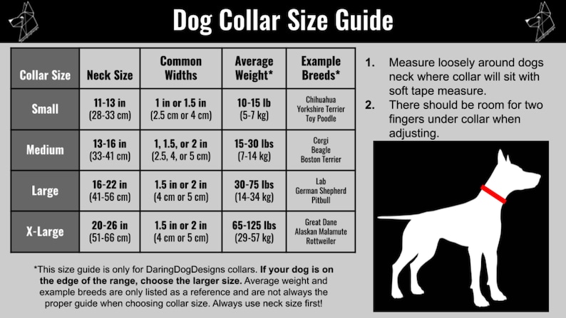 1 in 1.5 in 2 in Collar Personalized Padded Dog Collar MARTINGALE Dog Collar Custom Soft Dog Collar Embroidered Fleece Lined Collar