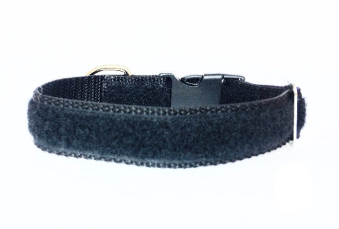 Velcro® Dog Collar Patch Dog Collar Service Dog Collar Etsy