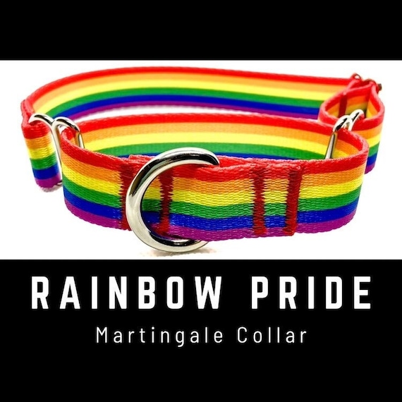 Pride deals dog accessories