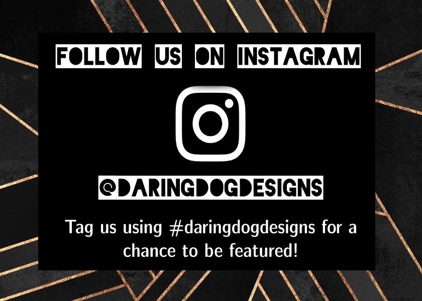 Airtag Holder Dog Collar Hidden Airtag Collar GPS Tracking Etsy