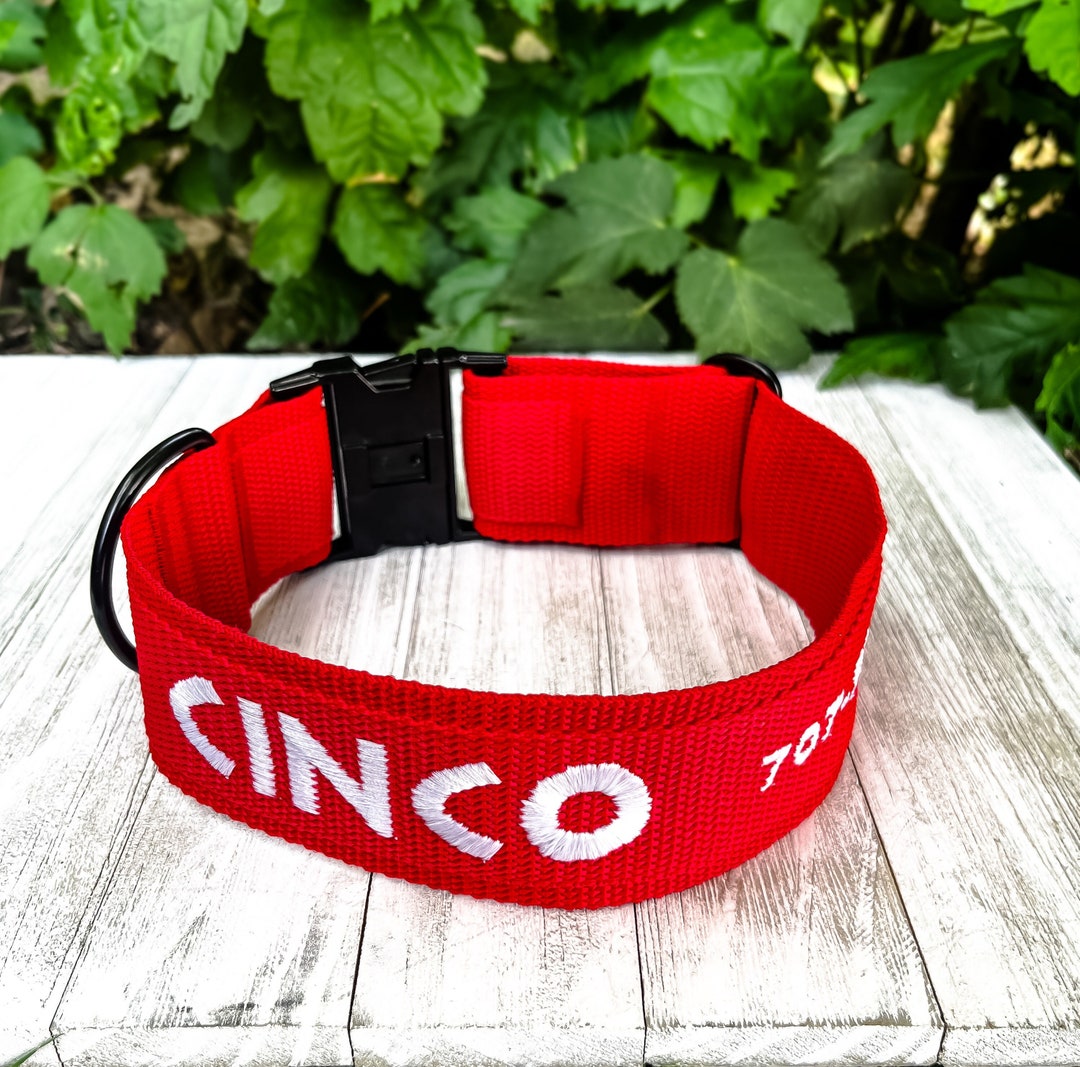 Personalized Buckle Dog Collar, Embroidered Collar With Name, Custom