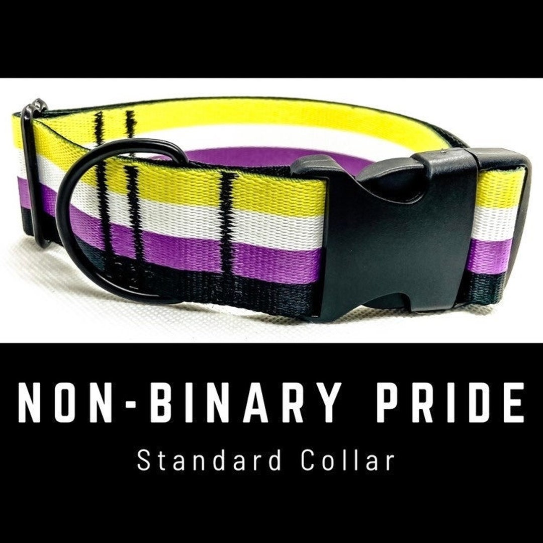Pride dog collar hotsell