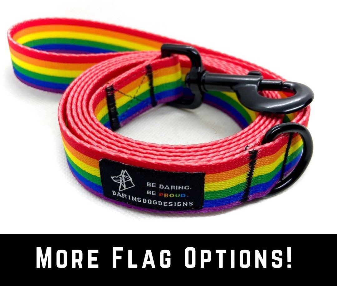 Pride Dog Leash, Rainbow Dog Leash, LGBTQ Dog Leash, Matching Leash and