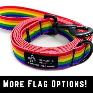 May include: Rainbow dog leash with a black metal clip and a purple tag that says "Be Daring. Be Proud. DaringDogDesigns".