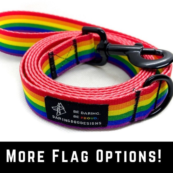 Pride Dog Leash, Rainbow Dog Leash, LGBTQ Dog Leash, Matching Leash and Collar, Traffic Handle, Gay Pride Leash, Pride Flag, 4 ft 5 ft 6 ft