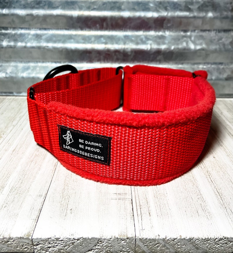 Fleece Lined Collar MARTINGALE Dog Collar Padded Dog Collar Etsy