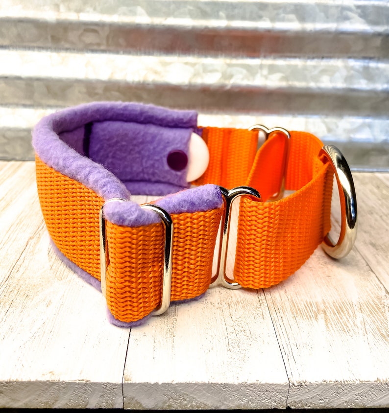 Airtag Dog Collar Hidden Airtag Collar Airtag Holder GPS Etsy