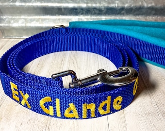 Fleece hondenriem, geborduurde hondenriem, gepersonaliseerde riem, gewatteerd handvat, aangepaste zachte riem, verkeershandvat, bijpassende riem en halsbandset