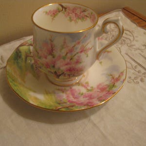 Royal albert blossom time - Etsy 日本