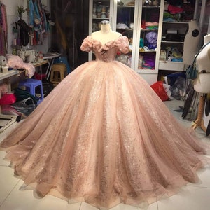 Champagne Pink Sparkly Dress, Dress Long Evening Dress, Princess Sparkly Pink Dress, Quinceanera Dress, Quinceanera Ballgown