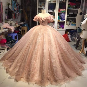Pink sparkly quinceanera dresses new arrivals