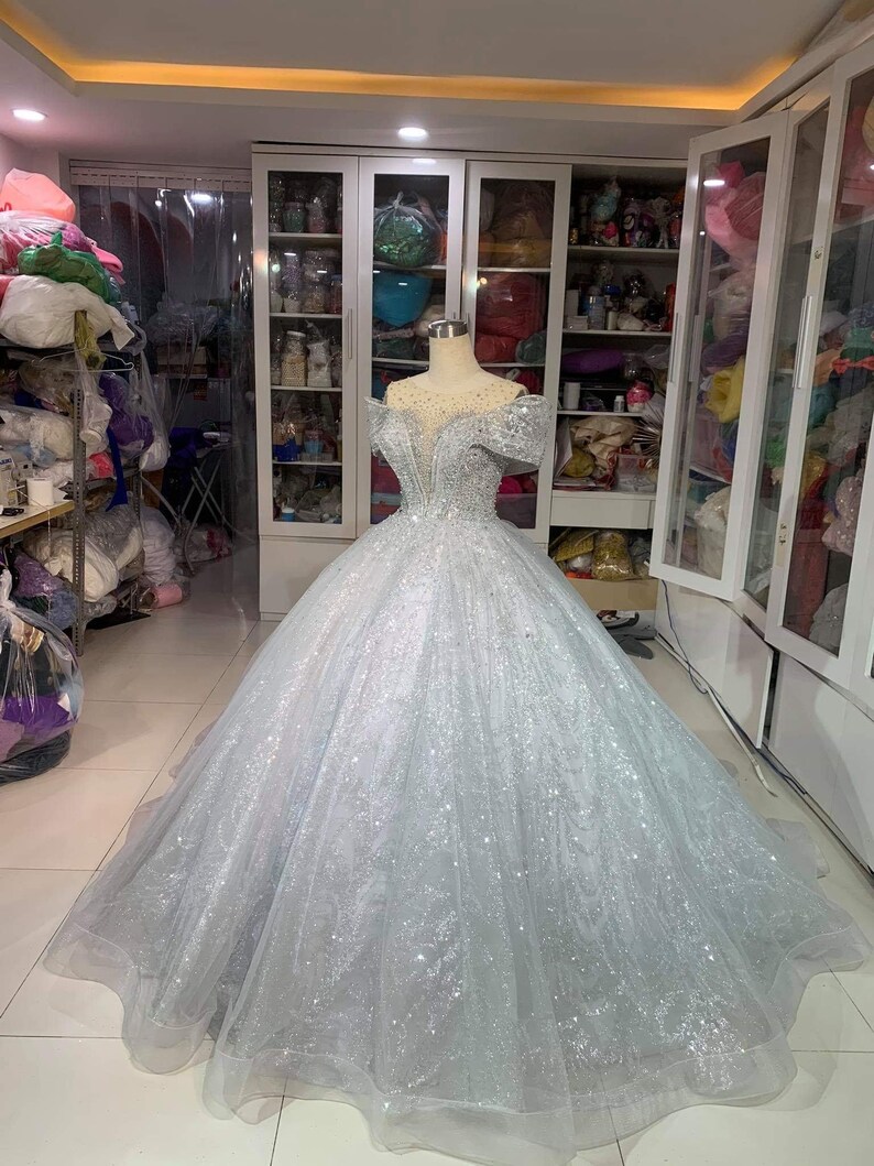 silver sparkly ball gown