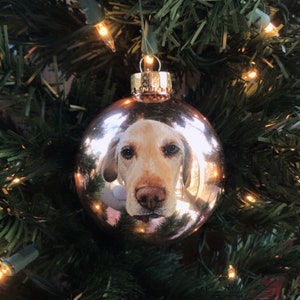 Pet Portrait Custom Hand-Painted Personalized Glass Christmas Ornament