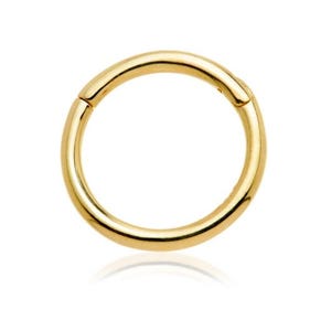 14kt gouden naadloze klikscharnierring - 14k - geelgoud - stud - daith-ring - kraakbeen - clicker - knuffel - oorbel - 9 kt - 9 kt - oorbel