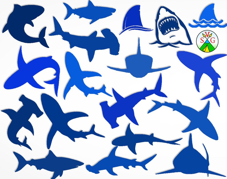 Free Free 315 Free Shark Svg Cut Files SVG PNG EPS DXF File