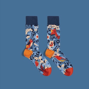 Birds Socks – Magic Forest Cotton Socks | Forest Bird Gift for Nature Lovers & Birdwatchers