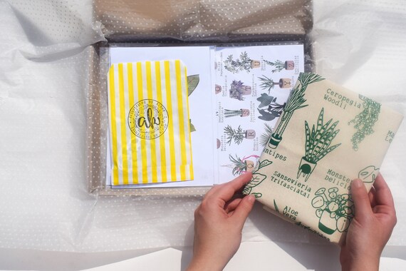 House Plant Illustrated Care Package / Plant Lover Gift / Tote Bag / Pin Badge / Illustration Art Prints / Rare / Illustrated by Aimee