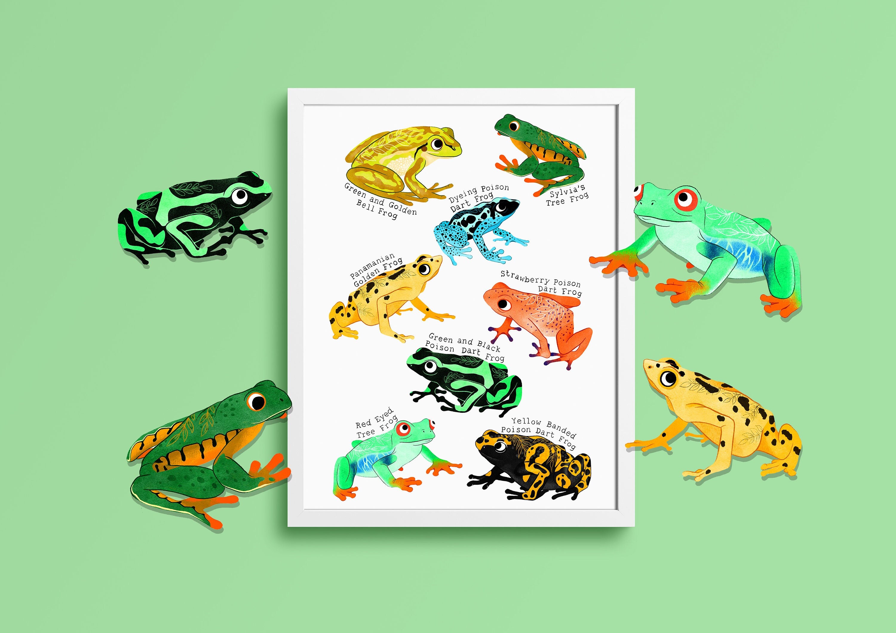 Frog Species Illustrated Print / Wall Art / Nursery Decor / - Etsy UK