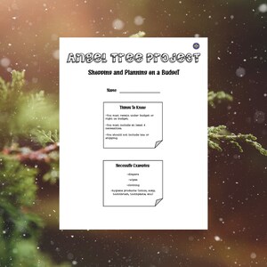 Angel Tree Budgeting Project