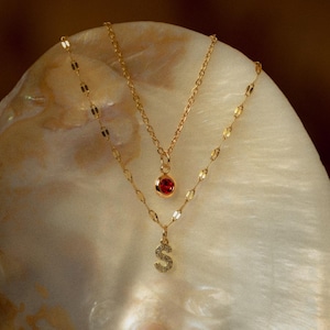 Collar con inicial delicada, collar personalizado, joyería con piedra de nacimiento familiar, regalo para el Día de la Madre, regalos de aniversario.